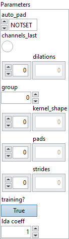 param_node_microsoft_q_linear_conv