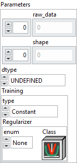 param_node_initializer_raw